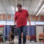 Puppy Training