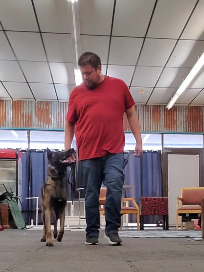 Puppy Training in Houston, Texas