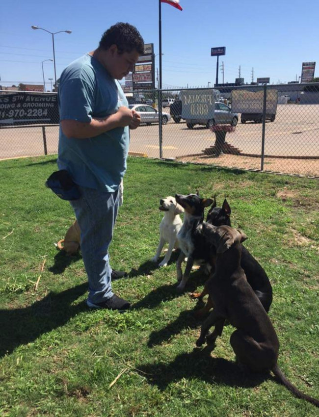 Obedience Training in Houston, Texas