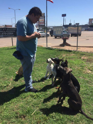 Dog Training Classes in Houston, Texas